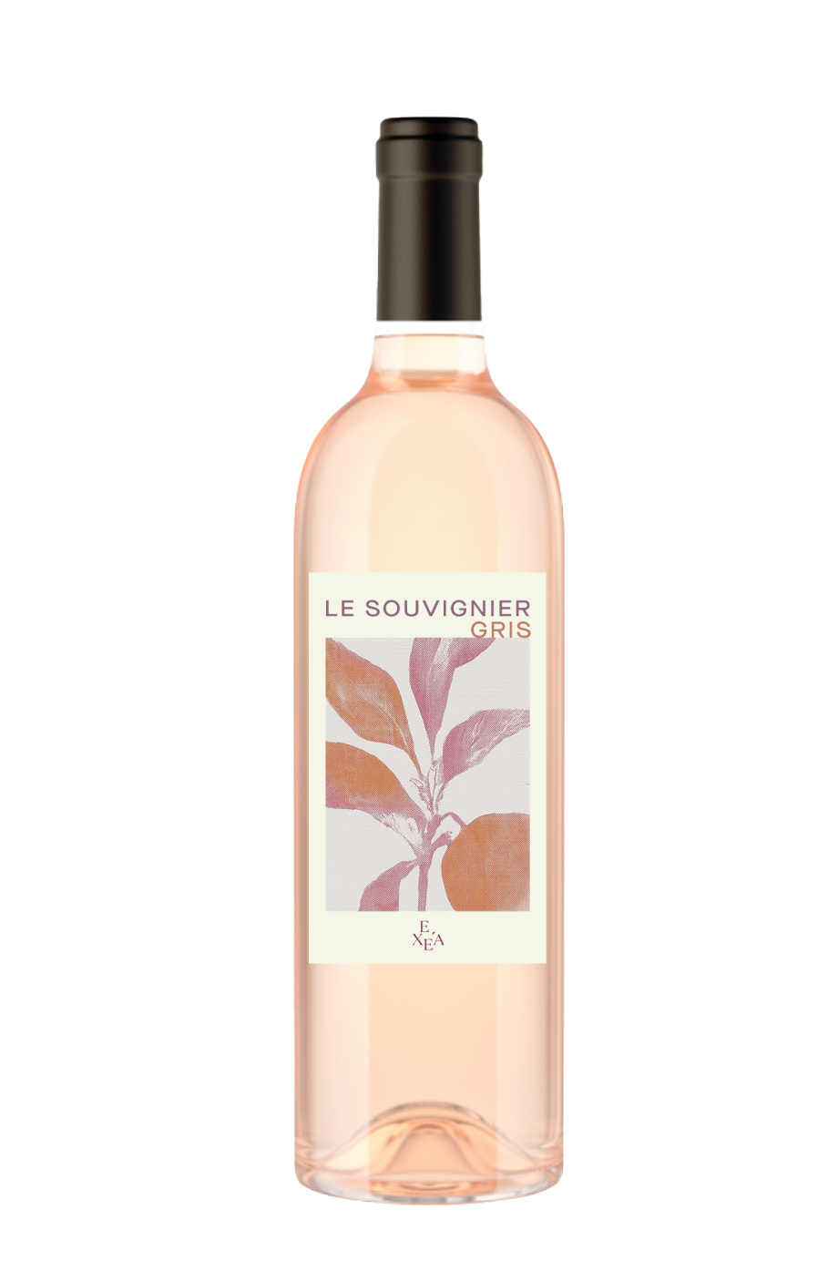 Der graue Souvenirier
